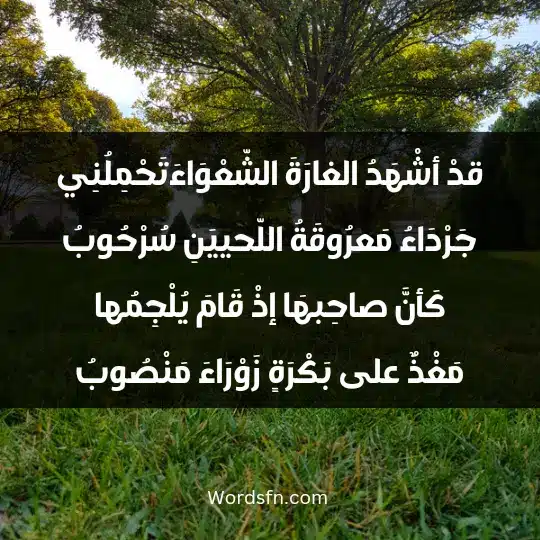 Poems of Imru al-Qais1 - فن العبارات قدْ أشْهَدُ الغارَةَ الشّعْوَاءَ تَحْمِلُنِي جَرْدَاءُ مَعرُوقَةُ اللّحييَنِ سُرْحُوبُ كَأنَّ صاحِبهَا إذْ قَامَ يُلْجِمُها مَغْذٌ على بَكْرَةٍ زَوْرَاءَ مَنْصُوبُ