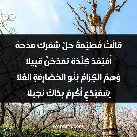 Poems of Imru al-Qais3 - فن العبارات قَالَتْ فُطَيْمَةُ حَلِّ شِعْرَكَ مَدْحَهُ أَفَبَعْدَ كِنْدَةَ تَمْدَحَنَّ قَبِيلا وَهَمُ الكِرَامُ بَنُو الخَضَارِمَةِ العُلا ِسَمَيْدَعٍ أَكْرِمْ بِذَاكَ نَجِيلا