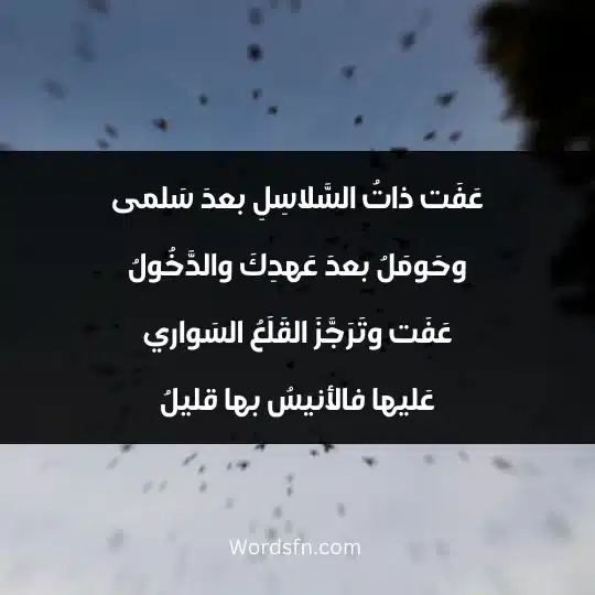 Poems of Mahrez Al-Dhabi 2 - فن العبارات عَفَت ذاتُ السَّلاسِلِ بعدَ سَلمى وحَومَلُ بعدَ عَهدِكَ والدَّخُولُ