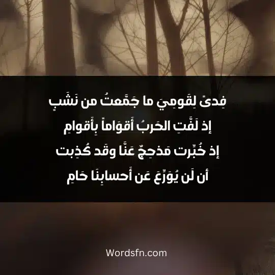 Poems of Mahrez Al-Dhabi 3 - فن العبارات فِدىً لِقَومِيَ ما جَمَّعتُ من نَشَبٍ إذ لَفَّتِ الحَربُ أَقوَاماً بِأَقوامِ