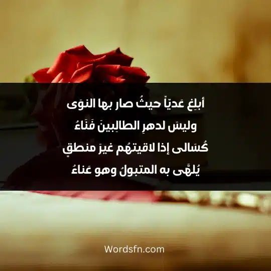 Poems of Mahrez Al-Dhabi 4 - فن العبارات أبلِغ عَديّاً حيثُ صار بها النوَى وليسَ لدهرِ الطالِبينَ فَنَاءُ
