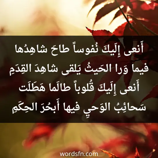 أَنعى إِلَيكَ نُفوساً طاحَ شاهِدُها فيما وَرا الحَيثُ يَلقى شاهِدَ القِدَمِ أَنعى إِلَيكَ قُلوباً طالَما هَطَلَت سَحائِبُ الوَحيِ فيها أَبحُرَ الحِكَمِ