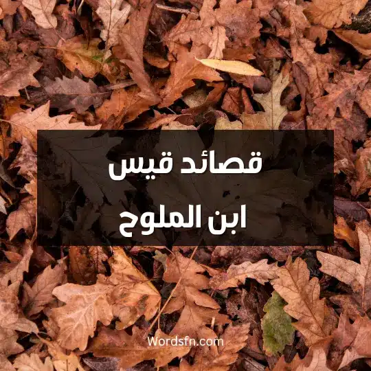 أشعار قيس بن الملوح