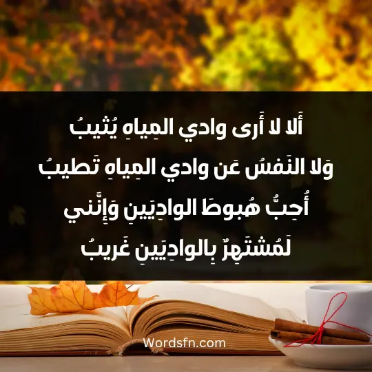 أَلا لا أَرى وادي المِياهِ يُثيبُ وَلا النَفسُ عَن وادي المِياهِ تَطيبُ أُحِبُّ هُبوطَ الوادِيَينِ وَإِنَّني لَمُشتَهِرٌ بِالوادِيَينِ غَريبُ
