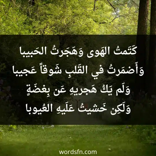 Poetry about Abu Fadl Al-Abbasi1 - فن العبارات كَتَمتُ الهَوى وَهَجَرتُ الحَبيبا وَأَضمَرتُ في القَلبِ شَوقاً عَجيبا وَلَم يَكُ هَجريهِ عَن بِغضَةٍ وَلَكِن خَشيتُ عَلَيهِ العُيوبا