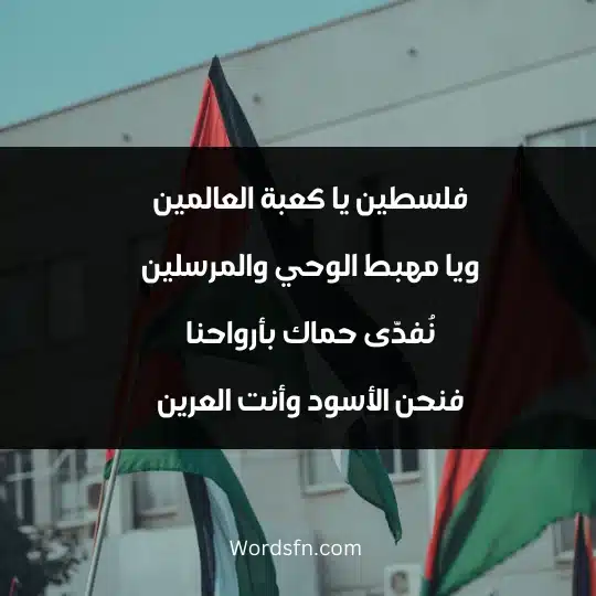 فلسطين يا كعبة العالمين ويا مهبط الوحي والمرسلين نُفدّى حماك بأرواحنا فنحن الأسود وأنت العرين