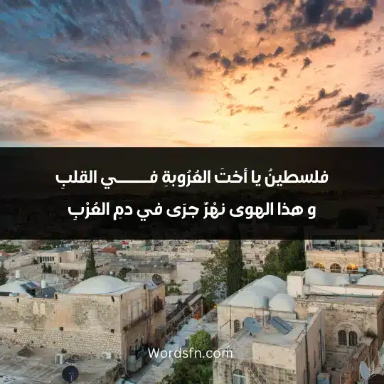 فلسطينُ يا أختَ العُرُوبةِ فــــــي القلبِ و هذا الهوى نهْرٌ جرَى في دمِ العُرْبِ