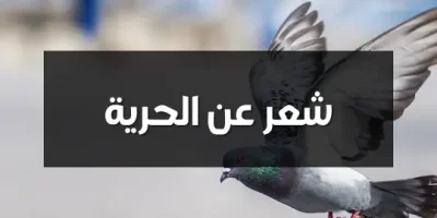 شعر عن الحرية