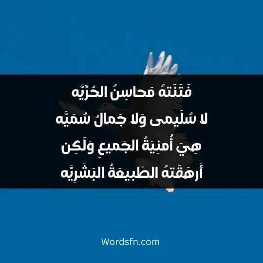 فَتَنَتهُ مَحاسِنُ الحُرِّيَّه لا سُلَيمى وَلا جَمالُ سُمَيَّه هِيَ أُمنِيَةُ الجَميعِ وَلَكِن أَرهَقَتهُ الطَبيعَةُ البَشَرِيَّه