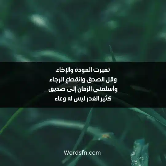 تغيرت المودة والإخاء وقل الصدق وانقطع الرجاء وأسلمني الزمان إلى صديق كثير الغدر ليس له وعاء