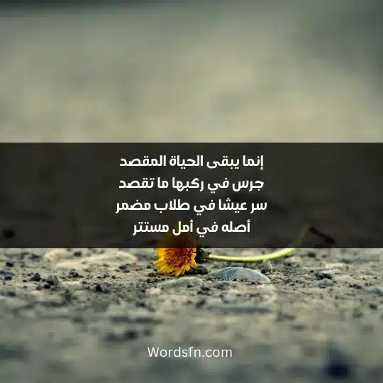 إنما يبقى الحياة المقصد جرس في ركبها ما تقصد سر عيشا في طلاب مضمر أصله في أمل مستتر