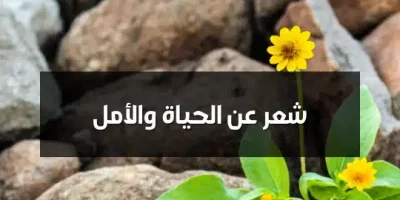 شعر عن الحياة والأمل