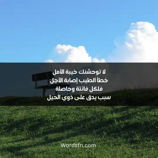 لا توحشنك خيبة الأمل خطأ الطيب إصابة الأجل فلكل فائتة وحاصلة سبب يدق على ذوي الحيل