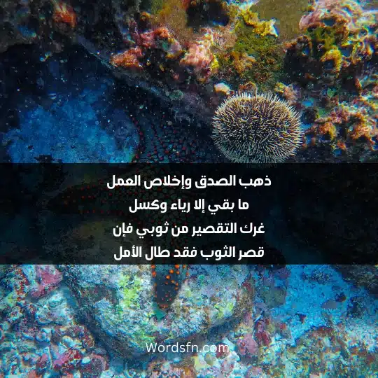 ذهب الصدق وإخلاص العمل ما بقي إلا رياء وكسل غرك التقصير من ثوبي فإن قصر الثوب فقد طال الأمل