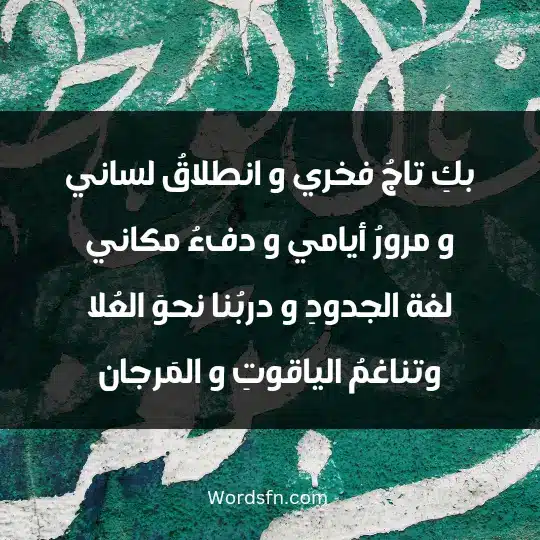 بكِ تاجُ فخري و انطلاقُ لساني * * * و مرورُ أيامي و دفءُ مكاني لغة الجدودِ و دربُنا نحوَ العُلا * * * و تناغمُ الياقوتِ و المَرجان