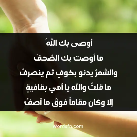 Poetry about the mother3 - فن العبارات أوصى بك اللهُ ما أوصت بك الصُحفُ والشعرُ يدنو بخوفٍ ثم ينصرفُ ما قلتُ والله يا أمي بقافيةٍ إلا وكان مقاماً فوقَ ما أصفُ