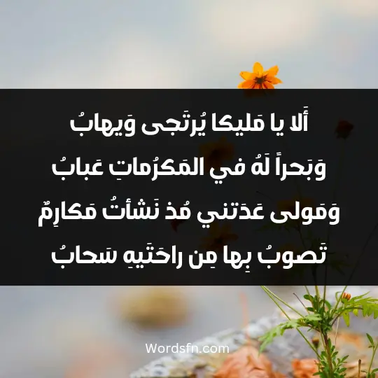 أَلا يا مَليكا يُرتَجى وَيهابُ وَبَحراً لَهُ في المَكرُماتِ عَبابُ وَمَولى عَدَتني مُذ نَشأتُ مَكارِمٌ تَصوبُ بِها مِن راحَتَيهِ سَحابُ