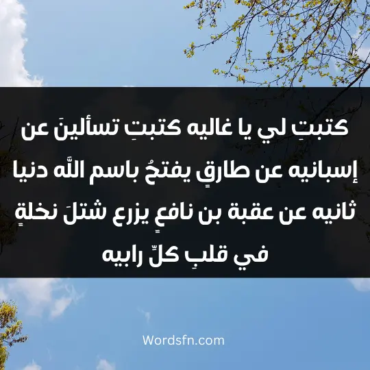 كتبتِ لي يا غاليه.. كتبتِ تسألينَ عن إسبانيه عن طارقٍ، يفتحُ باسم الله دنيا ثانيه.. عن عقبة بن نافعٍ يزرع شتلَ نخلةٍ.. في قلبِ كلِّ رابيه.