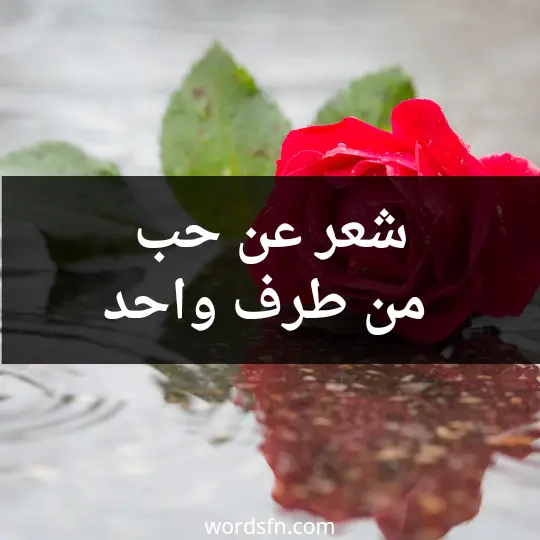 شعر عن حب من طرف واحد