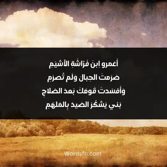 أَعَمرو اِبنَ فَرّاشَةِ الأَشيَمِ صَرَمتَ الحِبالَ وَلَم تُصرَمِ