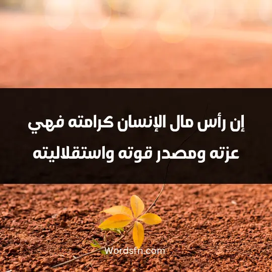 Powerful words about dignity3 - فن العبارات إن رأس مال الإنسان كرامته، فهي عزته ومصدر قوته واستقلاليته