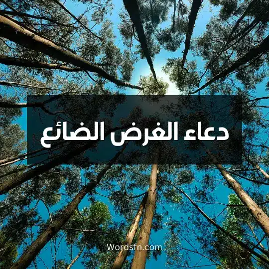 دعاء الغرض الضائع