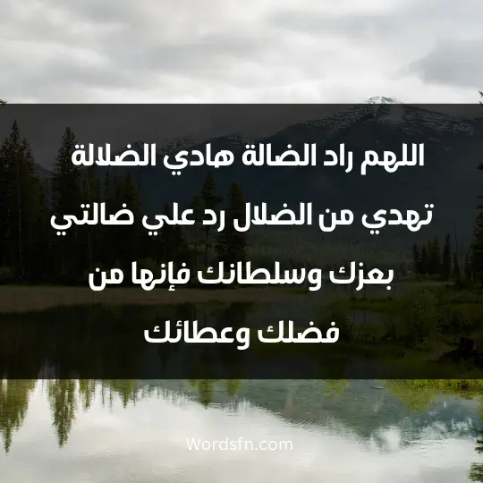 اللهم راد الضالة ، هادي الضلالة ، تهدي من الضلال رد علي ضالتي بعزك وسلطانك ، فإنها من فضلك وعطائك