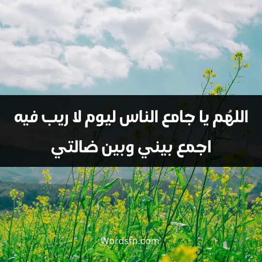 اللهُم يا جامع الناس ليوم لا ريب فيه اجمع بيني وبين ضالتي