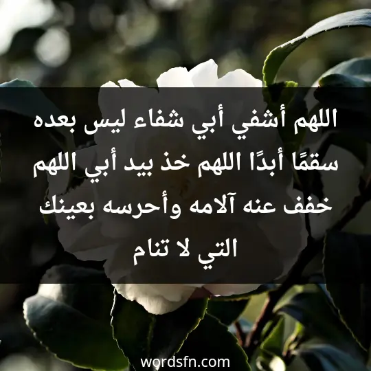 اللهم أشفي أبي شفاء ليس بعده سقمًا أبدًا. اللهم خذ بيد أبي، اللهم خفف عنه آلامه، وأحرسه بعينك التي لا تنام.