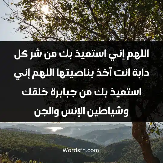 اللهم إني استعيذ بك من شر كل دابة انت آخذ بناصيتها اللهم إني استعيذ بك من جبابرة خلقك وشياطين الإنس والجن