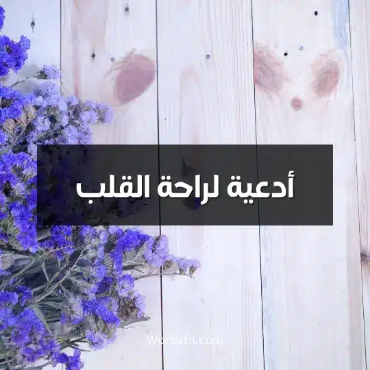 أدعية لراحة القلب