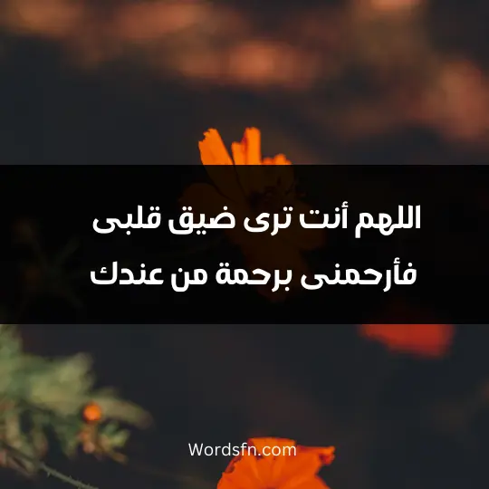 اللهم أنت ترى ضيق قلبى فأرحمنى برحمة من عندك