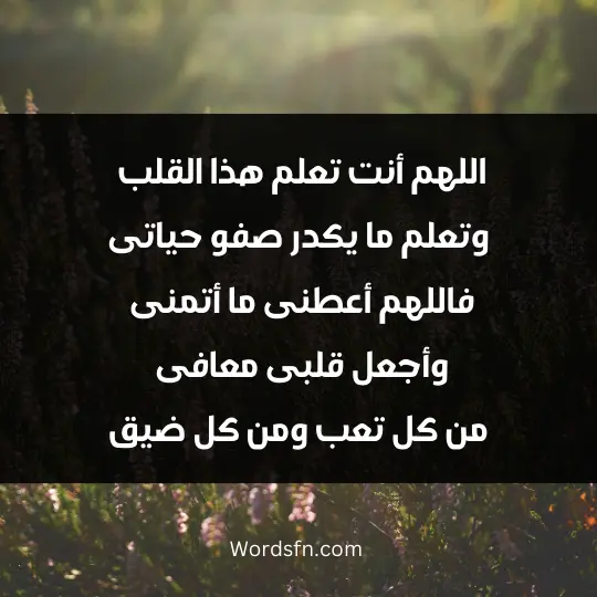 اللهم أنت تعلم هذا القلب وتعلم ما يكدر صفو حياتى فاللهم أعطنى ما أتمنى وأجعل قلبى معافى من كل تعب ومن كل ضيق