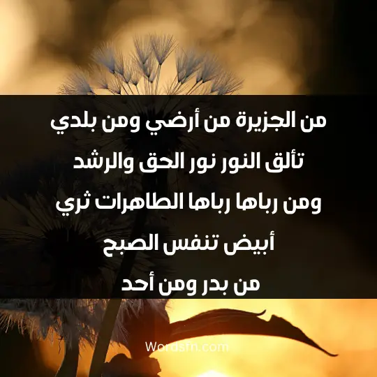 Religious poems about the Prophet2 - فن العبارات من الجزيرة من أرضي ومن بلدي تألق النور نور الحق والرشد ومن رباها رباها الطاهرات ثري أبيض تنفس الصبح من بدر ومن أحد