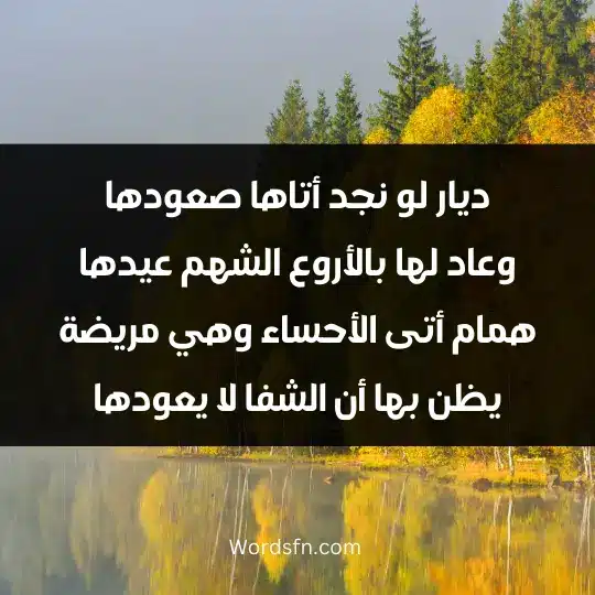 Religious poems about the Prophet3 - فن العبارات ديار لو نجد أتاها صعودها وعاد لها بالأروع الشهم عيدها همام أتى الأحساء وهي مريضة يظن بها أن الشفا لا يعودها