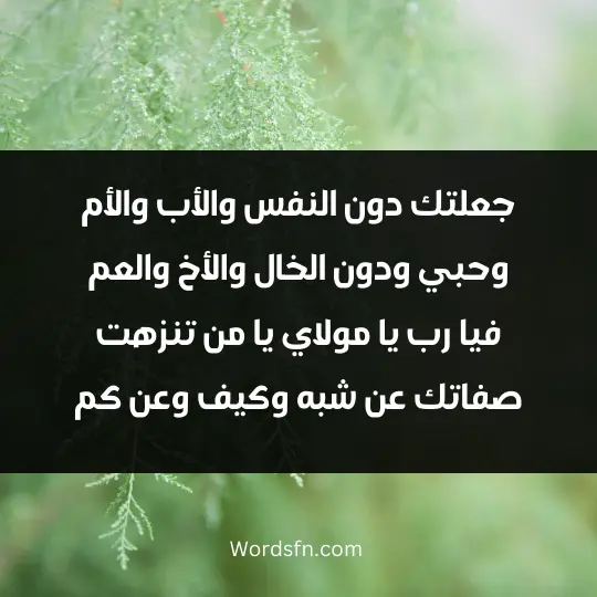 Religious poems3 - فن العبارات جعلتك دون النفس والأب والأم وحبي ودون الخال والأخ والعم فيا رب يا مولاي يا من تنزهت صفاتك عن شبه وكيف وعن كم
