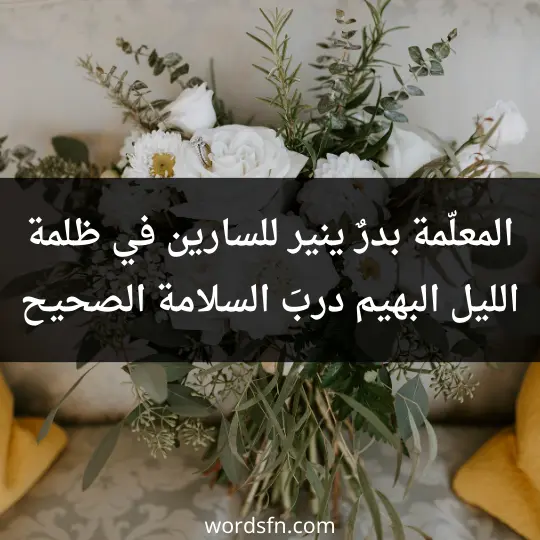 المعلّمة بدرٌ ينير للسارين في ظلمة الليل البهيم دربَ السلامة الصحيح