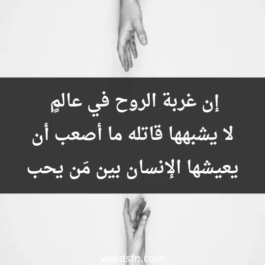 Sad and painful WhatsApp statuses1 - فن العبارات إن غربة الروح في عالمٍ لا يشبهها قاتلة، ما أصعب أن يعيشها الإنسان بين مَن يحب