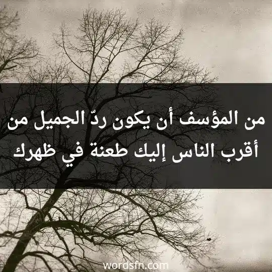 Sad and painful WhatsApp statuses3 - فن العبارات من المؤسف أن يكون ردّ الجميل من أقرب الناس إليك، طعنة في ظهرك