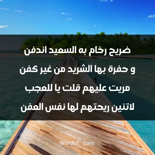ضريح رخام به السعيد اندفن و حفرة بها الشريد من غير كفن مريت عليهم قلت يا للعجب لاتنين ريحتهم لها نفس العفن