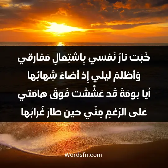 Sayings of Imam Al-Shafii2 - فن العبارات خَبَت نارُ نَفسي بِاشتِعالِ مَفارِقي وَأَظلَمَ لَيلي إِذ أَضاءَ شِهابُها أَيا بومَةً قَد عَشَّشَت فَوقَ هامَتي عَلى الرُغمِ مِنّي حينَ طارَ غُرابُها