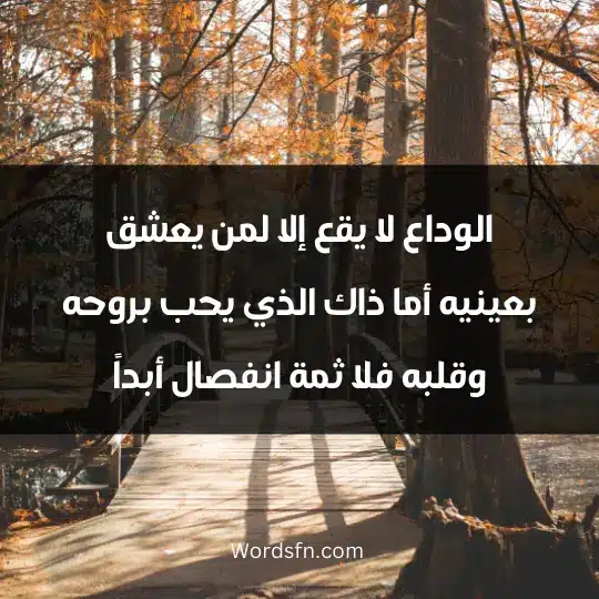 Sayings of Jalaluddin Rumi1 - فن العبارات الوداع لا يقع إلا لمن يعشق بعينيه أما ذاك الذي يحب بروحه وقلبه فلا ثمة انفصال أبداً