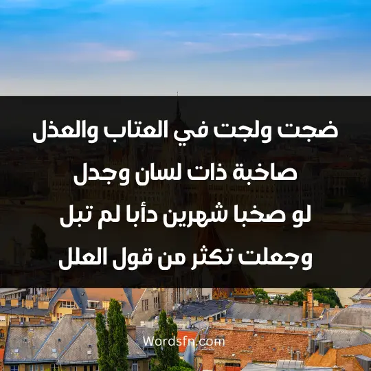 Strong reproach poetry2 - فن العبارات ضجت ولجت في العتاب والعذل صاخبة ذات لسان وجدل لو صخبا شهرين دأبا لم تبل وجعلت تكثر من قول العلل