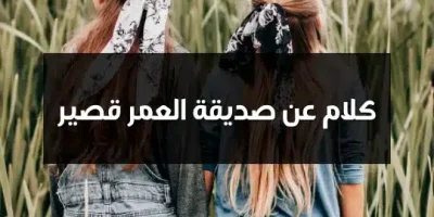 كلام عن صديقة العمر قصير