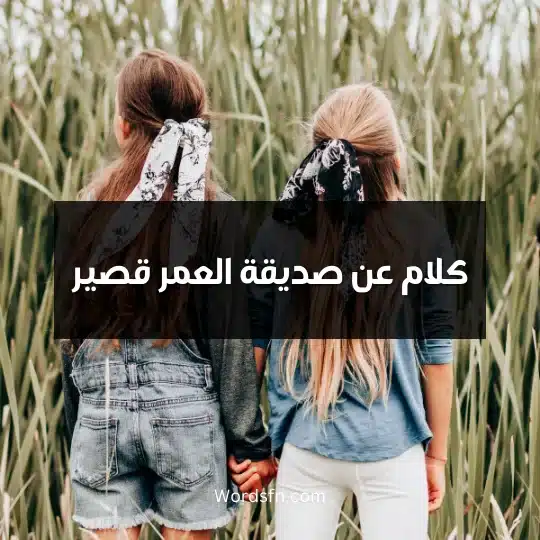 كلام عن صديقة العمر قصير