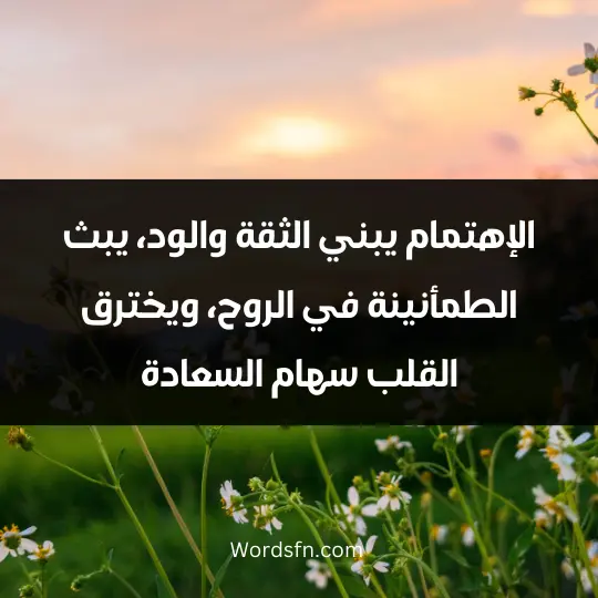 الإهتمام يبني الثقة والود، يبث الطمأنينة في الروح، ويخترق القلب سهام السعادة