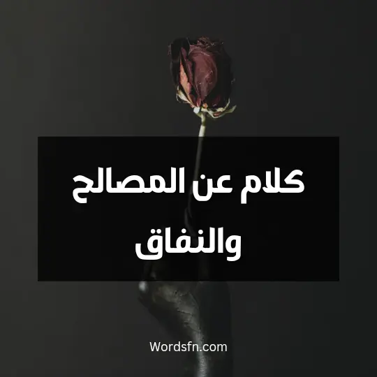 كلام عن المصالح والنفاق