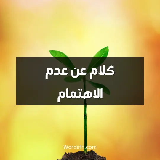 كلام عن عدم الاهتمام