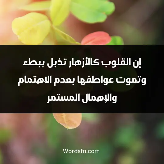 إن القلوب كالأزهار تذبل ببطء وتموت عواطفها بعدم الاهتمام والإهمال المستمر