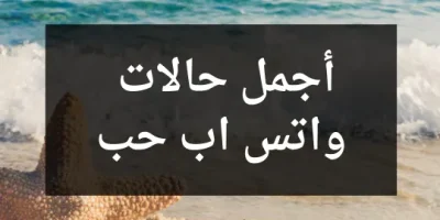 أجمل حالات واتس اب حب